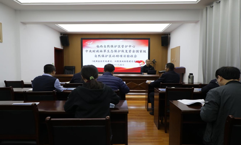 图片2_副本.jpg