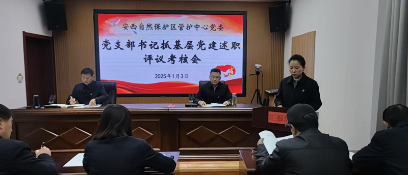 图片1_副本.jpg