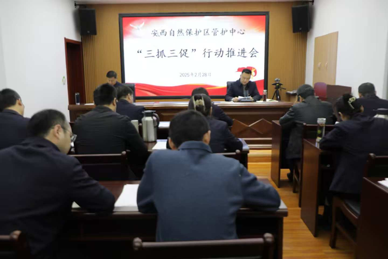 图片1_副本.png
