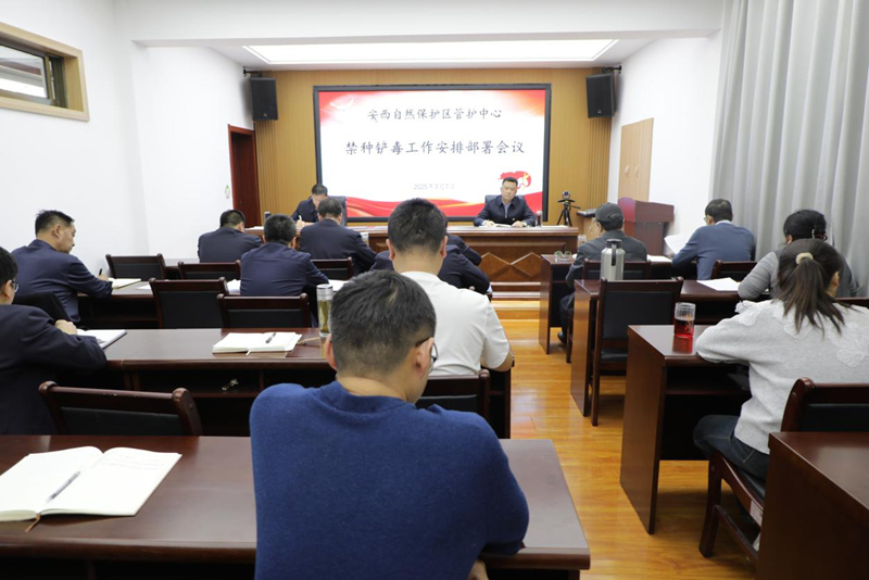 图片1_副本.jpg