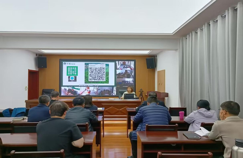 图片4_副本_副本.jpg