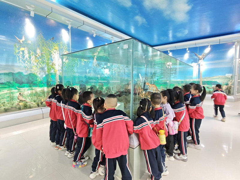 图片1_副本.jpg